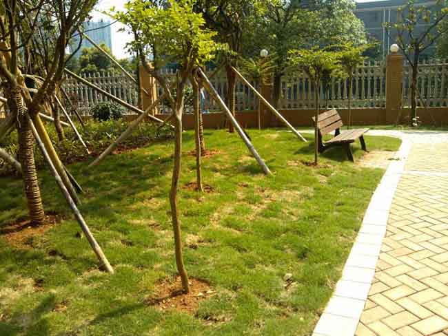 ���ϵ����С�^(q��)���b��(sh��)��,�������⽡������,�����������e��,���σ�ͯ����,�����\(y��n)��(d��ng)��(ch��ng)��,�L(zh��ng)ɳ�����Ƥ,�L(zh��ng)ɳ�҃�(n��i)���\(y��n)��(d��ng)�ذ�,�L(zh��ng)ɳ���(ch��ng)����,�L(zh��ng)ɳ���⽡������,�L(zh��ng)ɳ�������e��,�L(zh��ng)ɳ��ͯ����,�L(zh��ng)ɳ�\(y��n)��(d��ng)��(ch��ng)��,�L(zh��ng)ɳ�����w����Ʒ���޹�˾